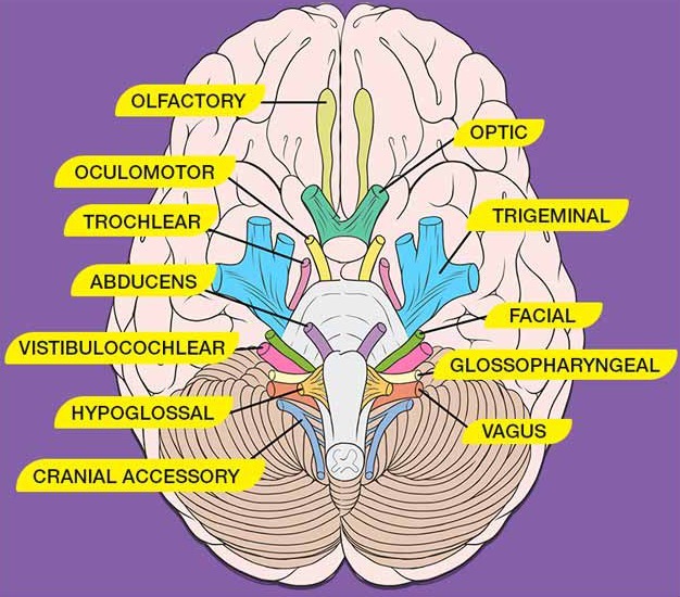 سوالات چندگزینه ای